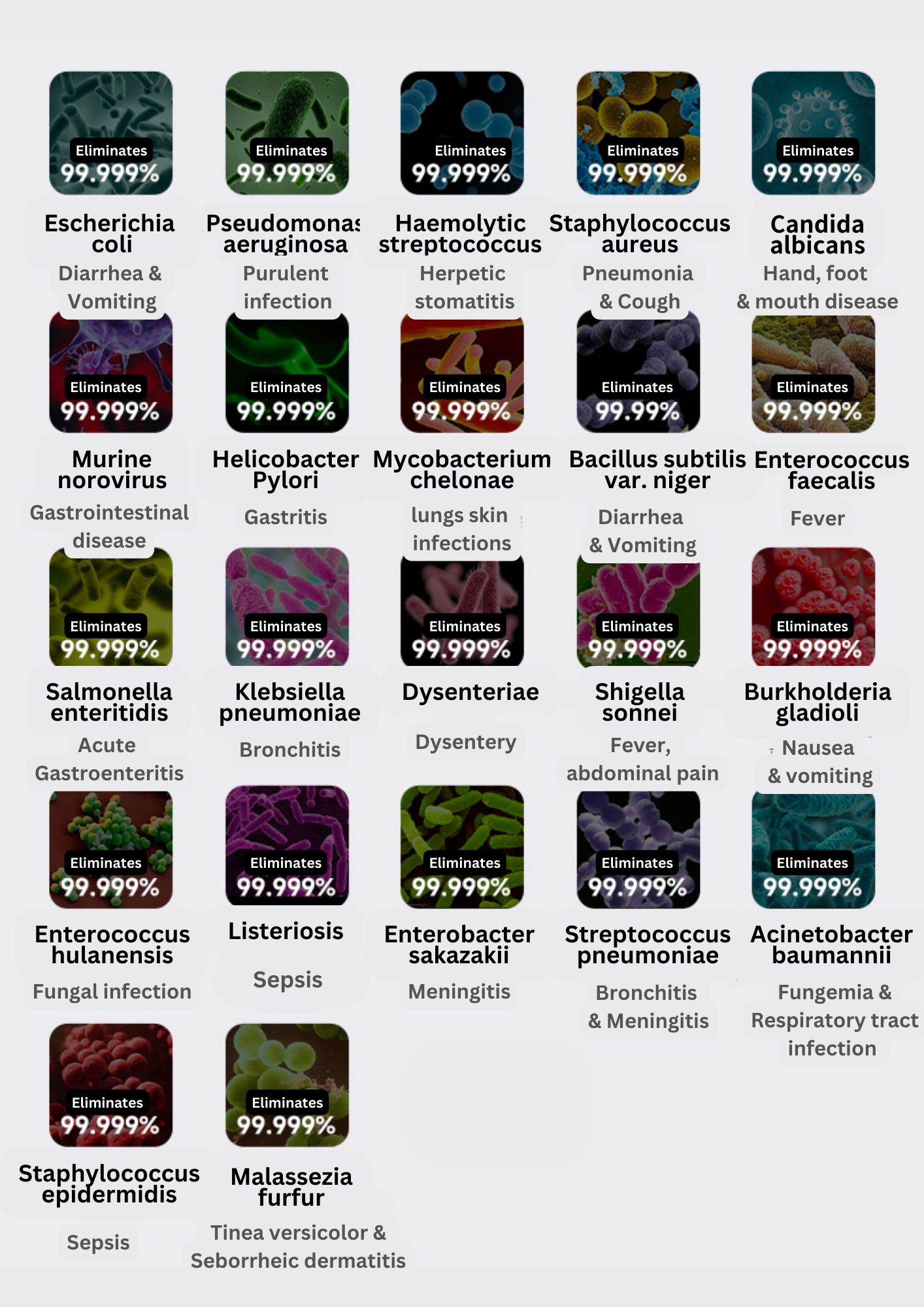 Smart Water Kettle x UV Steriliser Dryer