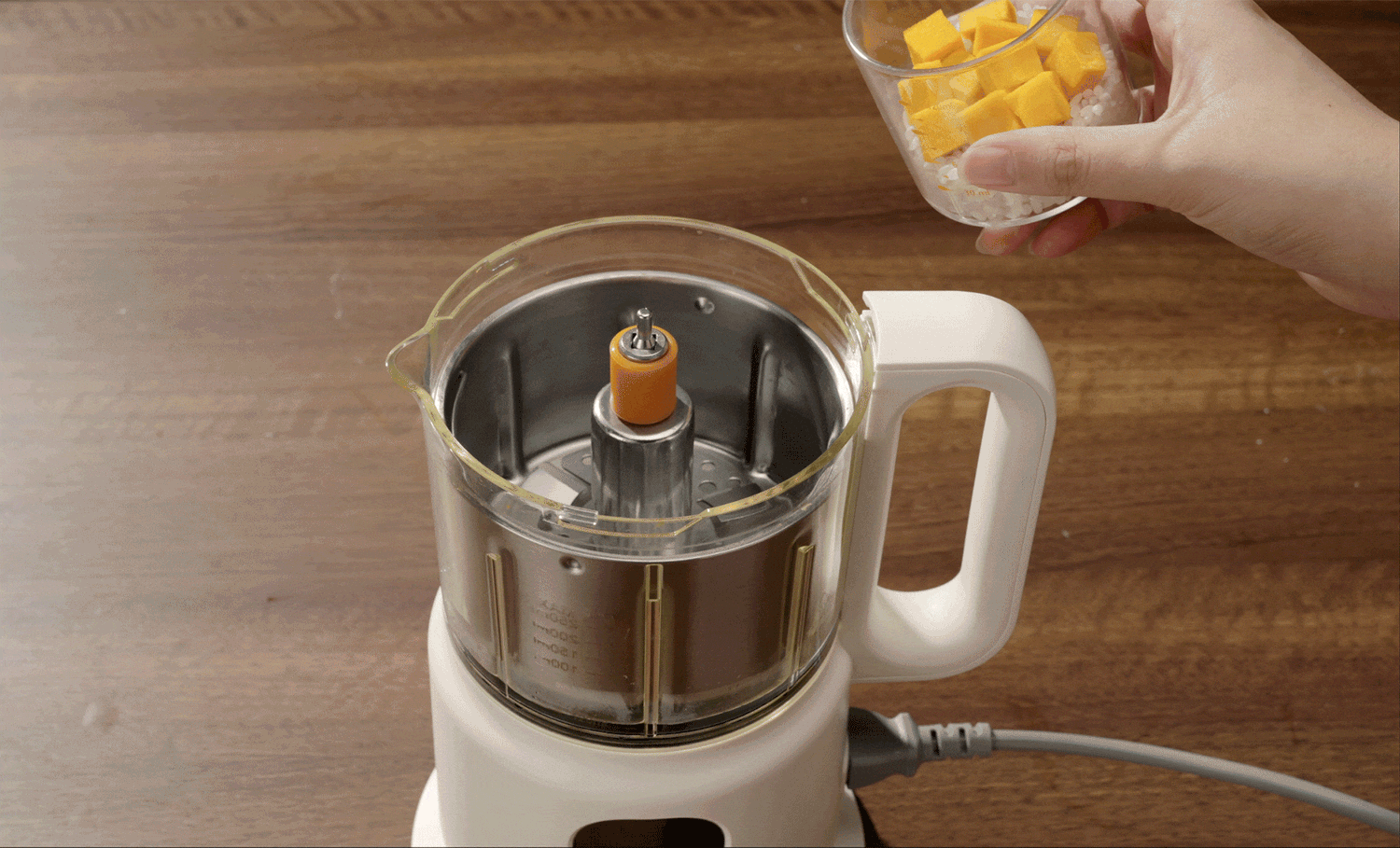 Auto Baby Food Cooker